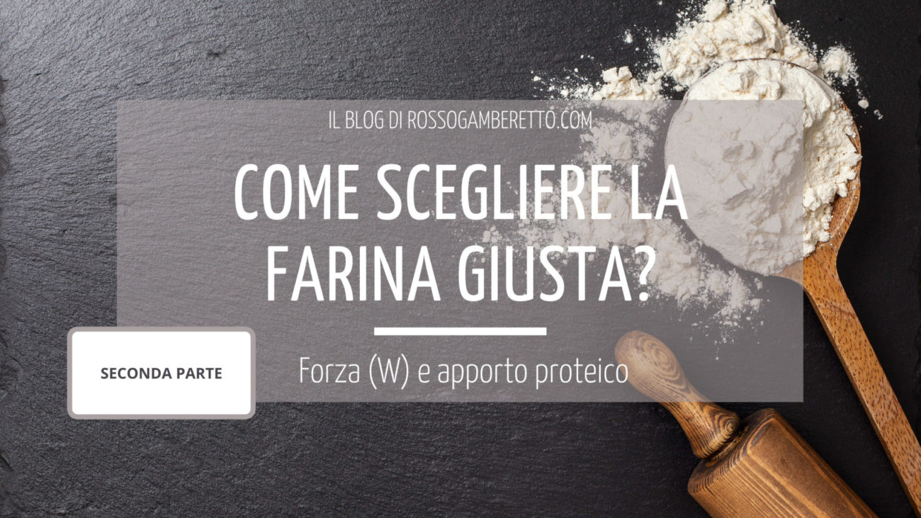 come scegliere la farina giusta_forza e apporto proteico